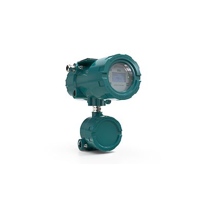 Flexim-FLUXUS F831 Permanent Flow Meter Hazardous Areas